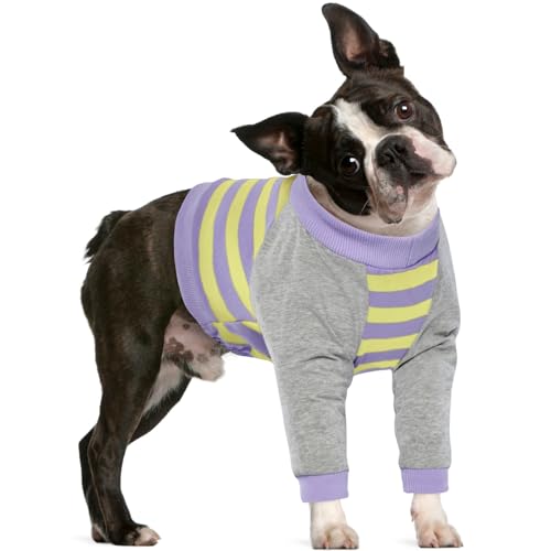 Image of FUAMEY Dog Recovery Sleeve with Elbow Protector for Small Dogs | Dog Shirt Stop Licking Joints, Long Sleeve Suit, Protecting Front Leg Arm, Wounds Cover Skin Conditions, Purple Stripes S