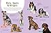 Animal Friends: Hello, Dogs!: Meet Dogs of All Shapes & Sizes; Learn What Dogs Love; Discover How to Be Friends!