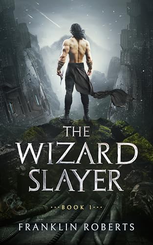 The Wizard Slayer (The Wizard Slayer Saga Book 1)