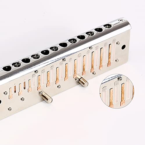 MEIeynt Harmonica chromatique Professionnel 12 Trous 48 tonalités de C avec étui et Chiffon de Nettoyage pour Joueur… - Les Beatles, Paul McCartney, John Lennon, RIngo Starr, George Harrison MEIeynt Harmonica chromatique Professionnel 12 Trous 48 tonalités de C avec étui et Chiffon de Nettoyage pour Joueur… – Image 7