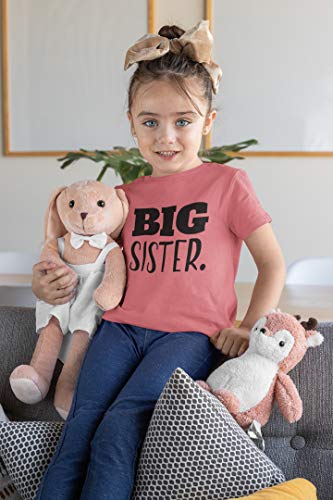 Image of Big Sister Shirt Big Sister Announcement Toddler Shirts Promoted to Girls Outfit