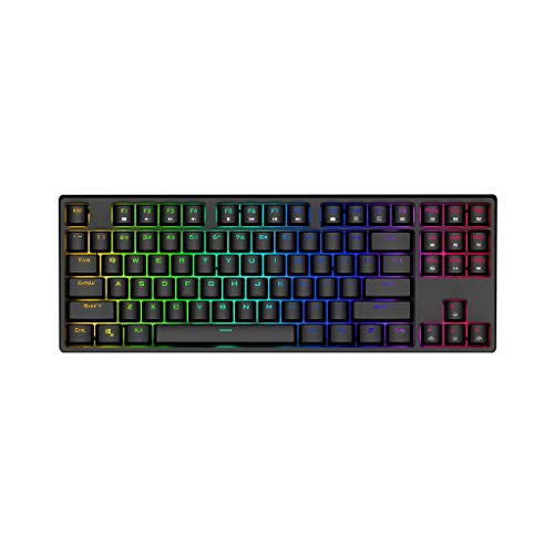Teclado Mecánico Gaming Mechanical Keyboard USB-C Wired