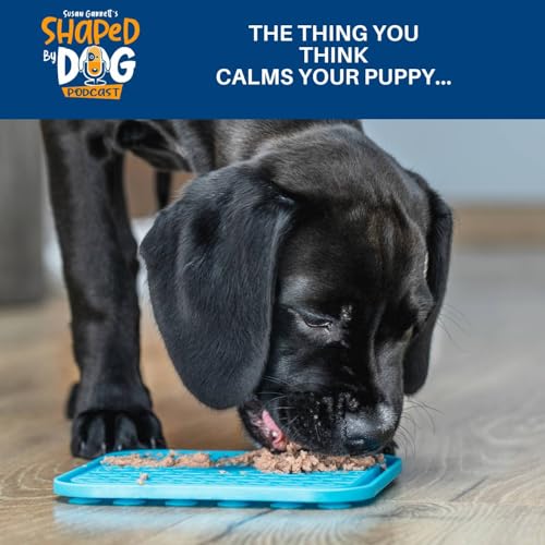 The Thing You THINK Calms Your Puppy... #320