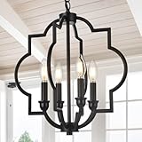 ACANER 4-Light Black Farmhouse Chandelier, Rustic Orb Geometric Pendant Light Fixtures Adjustable Height Ceiling Light for Kitchen Island Dining Room Hallway Foyer Entryway