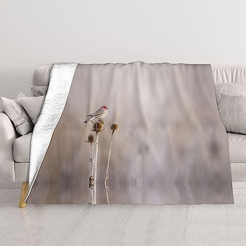 Couverture oiseaux réversible en peluche douce pour lit et canapé