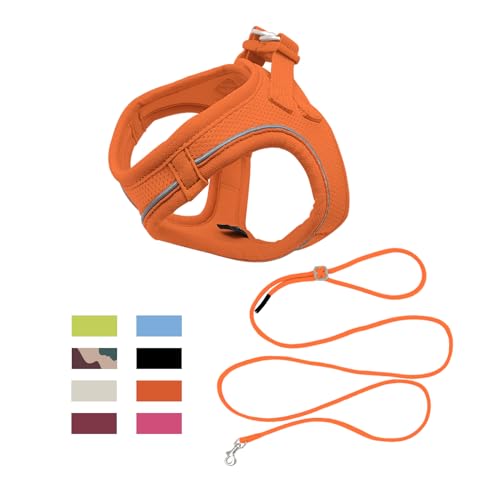 Qianruida Step-in Dog Harness with Lead, Breathable, Easy to Control, Reflective Strips (Orange XXS)