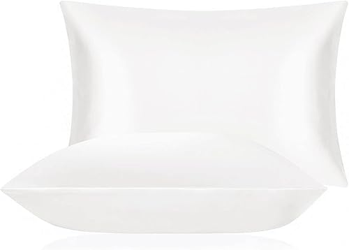 DISANGNI Funda de almohada 100% seda de morera, utilizada para cabello y piel, tipo sobre, seda en un lado y Tencel en el otro lado, cuenta 600, 1