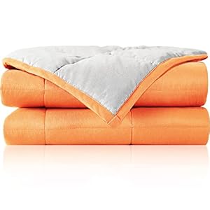 Joyching Weighted Blanket 10 pounds for Adults Teens Twin Size, Reversible Cooling Soft Heavy Comforter with Premium…