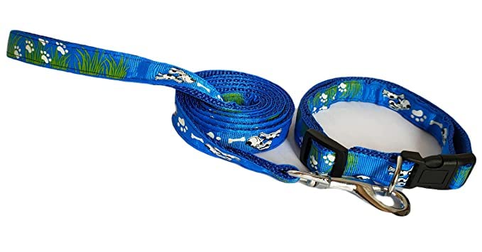 RvPaws Pet Printed 15 MM Collar and Leash Set - Adjustable Nylon Collar with Bell for Small and Medium Dogs, Collar and Leash Set for Puppies, Dog & Cat (Blue) (B0BTMQ2CCJ) Amazon Price History, Amazon Price Tracker