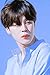 Ayjxtz Puzzle 1000 Piezas Regalo de Fan de la Imagen de BTS Jimin Puzzle 1000 Piezas Animales Educativo Divertido Juego Familiar para niños adultos50x75cm(20x30inch)