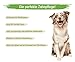 MC-Royal NEU Dental Care Spray für Hunde & Katzen - Zahnreinigung, Zahnpflege Hund, Dentalspray gegen Mundgeruch, Zahnsteinentferner Hund, zahnbürste Hund