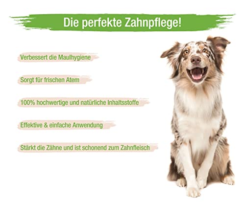 MC-Royal NEU Dental Care Spray für Hunde & Katzen - Zahnreinigung, Zahnpflege Hund, Dentalspray gegen Mundgeruch, Zahnsteinentferner Hund, zahnbürste Hund