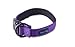“Classic Comfort Dog Collar Premium Nylon Neoprene Padded Dog Collar for XLarge Sized Dog Comfortable Collar for Your Dog by Wagtime Club (Vibrant Purple) XL