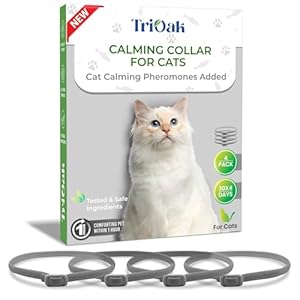 Calming Collar for Cats: 4 Pack Cat Calming Collar – Premium Calming Cat Collar – Cat Pheromone Collar – Pheromone Collar for Cats – Efficient Relieve Anxiety Stress (4 Pack Gray)