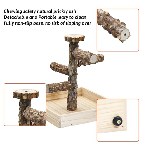 Image of BNOSDM Portable Bird Perch Stand with Potty Tray, Natural Wood Tabletop Training Gym Parrot Playground Toy for Budgies, Cockatiels, Lovebirds,Conures Canaries