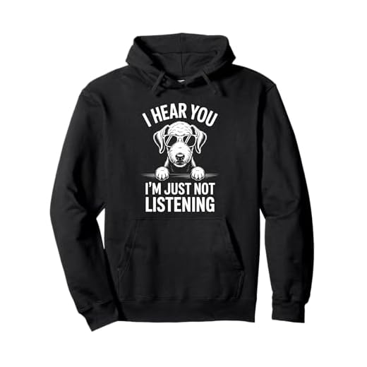 Be A Bedlington Terrier Dog Funny Bedlington Terrier Pullover Hoodie
