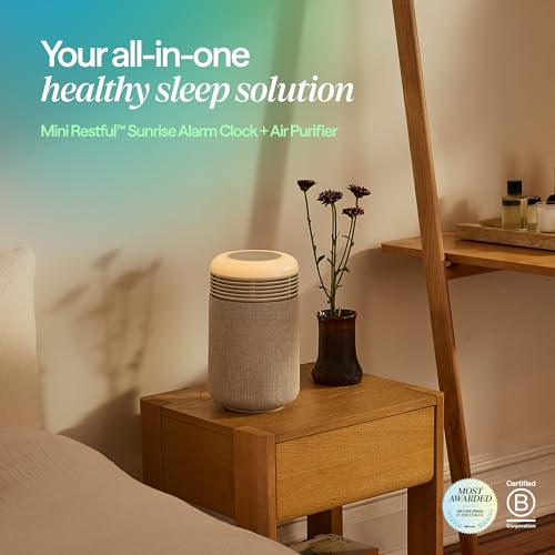 Image of BLUEAIR Air Purifier & Sunrise Alarm Clock for Bedroom, Nursery - HEPASilent, Wake-Up Light, White Noise & Soothing Sounds for Natural Sleep, USB-C, Mini Restful