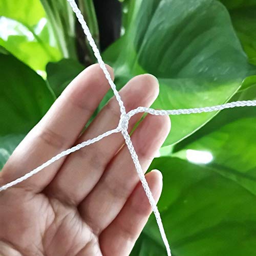 HotspotLA Trellis Netting 5â€™ x 350â€™ Roll 6inch Squares Soft Mesh Net for Gardening and Plant Support
