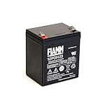 FIAMM