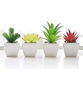 Veryhome Faux Succulent Plants Artificial Mini Ceramic Potted Succulents Decor for Bedroom, Livin...