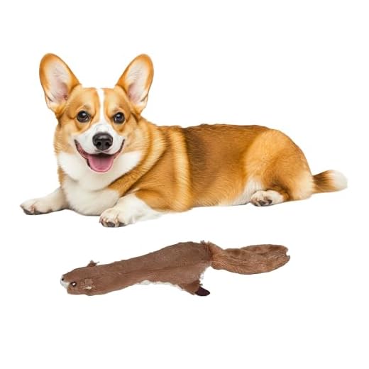 Ethical 5735 Skinneeez Plus-Squirrel Stuffing-Less Dog Toy, 15-Inch