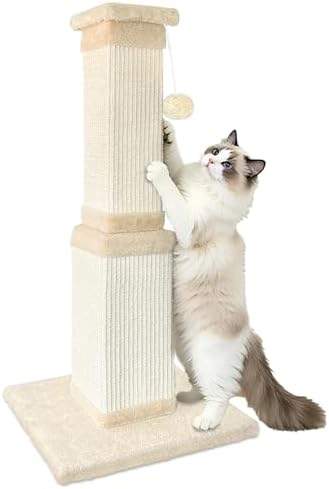 AGYM Cat Scratching Post for Large Cats — shown in a real home setting for scale
