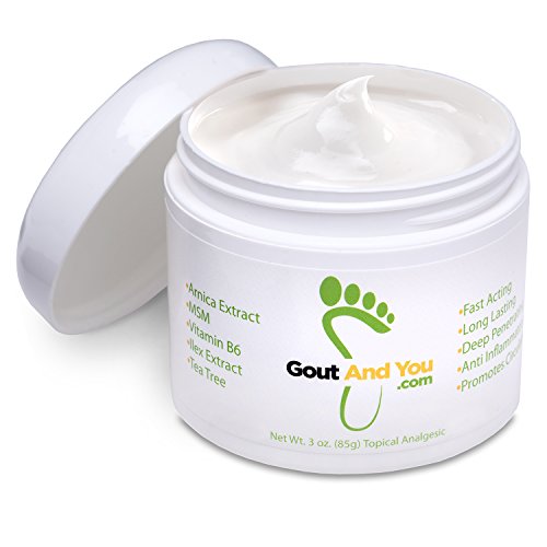 Gout and You Relief Cream for Joint Discomfort, Flare-Ups, Tendon - Fast Acting Muscle Ache Relieving Rub with Arnica/Ilex Leaf Extract, Aloe Vera and Tea Tree Oil