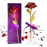 Nekano 24K Vergoldete Rose Ewige Rosen Muttertagsgeschenk, Infinity roten Rosen mit Lichter,künstliche Rose mit Geschenkbox für Mutter Frau Freundin,Geschenk für Muttertag Jubiläum