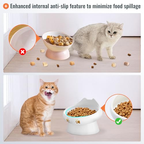 Cat-Food-Bowl-Anti-Vomiting-Elevated-Cat-Bowls-Raised-Ceramic-Cat-Bowl-for-Food-and-Water-Lead-Cadmium-Free-Prevents-Spills-and-Promotes-Healthy-Eating-Microwave-Dishwasher-Safe2-PCS