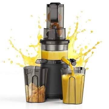 best cold press juicer under 200