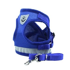 Zlxhdl Nocna Niebieska Uprząż i Smycz dla Psa
