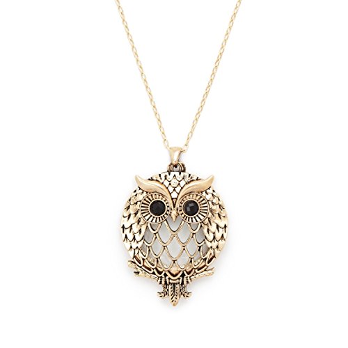 Antiqued Gold Tone Owl Crystal Glass Magnifier Pendant Necklace Magnifying