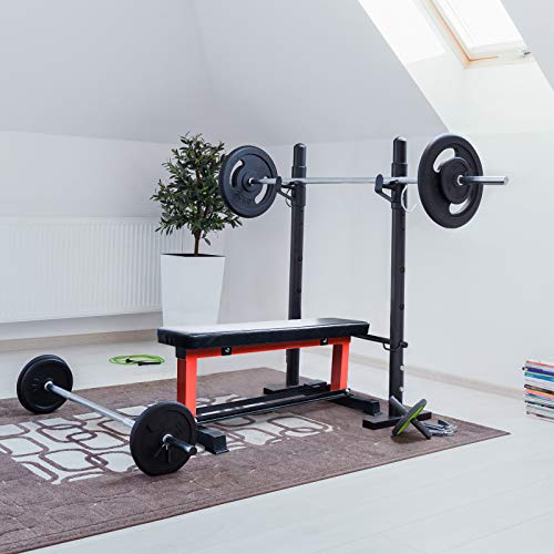 RitFit Utility Flat Weight Bench with Dumbbell Rack, 880 LB Capacity Workout Bench for Home Gym - Weightlifting, Strength Training, Full Body Exercise