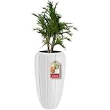 jardineras modernas para jardin 🌻 LA MACETA DE LA MARCA KADAX SE FABRICA CON UNA MODERNA TECNOLOGÍA DE SOPLADO, GRACIAS A LA CUAL ES POSIBLE CONSEGUIR UNA FORMA QUE NORMALMENTE SERÍA IMPOSIBLE. La producción se basa en materiales seleccionados, por lo que nuestra maceta se caracteriza por un plástico de alta calidad resistente a los daños y a las diferencias de temperatura, a la radiación UV y a las heladas. Puede utilizarse no sólo en casas y oficinas, sino también en el exterior, en la terraza o el balcón.