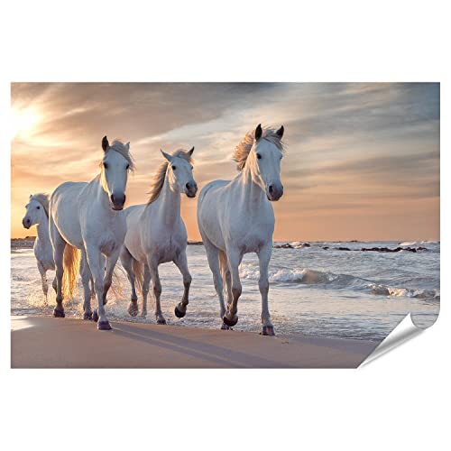 Troupeau de chevaux blancs de Camargue : affiche photo format XXL