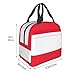 MDATT Austrian Flag Insulated Lunch Bag Reusable Lunch Box, Cooler Lunch Tote Bag For Women Men Picnic Office Work, MC700