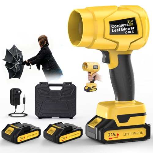 21V Cordless Blower with Two Batteries