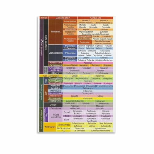 Antibiotics Classification Chart Poster Medical Educational Wall Art Canvas for Living Room Bedroom Decor 08x12inch(20x30cm) Unframe-style