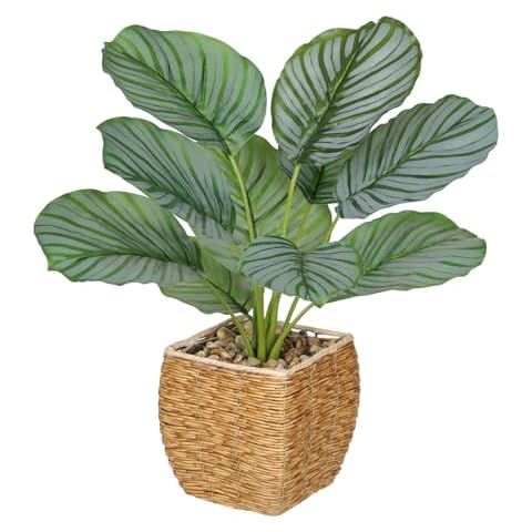 Briful Calathea Artificial Plant in Rattan Basket Cover
