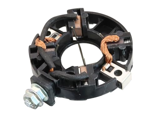 SECURA Kohlebürsten mit Halter (ohne Endkappe) kompatibel mit Briggs & Stratton 121312 Motor