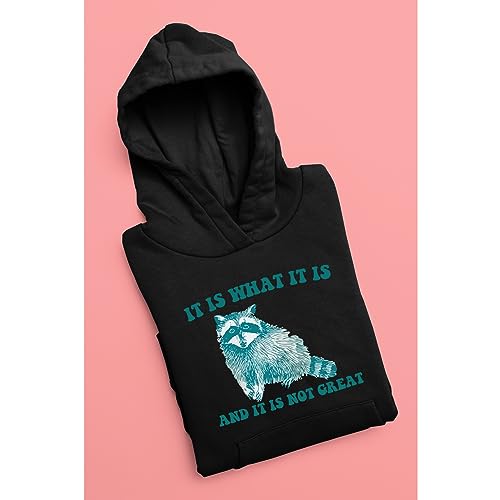 It Is What It Is And It Is Not Great - Vintage Drawing Hoodie, Raccoon Meme Hoodie, Funny Trash Panda Hoodie, Unisex Hoodie3