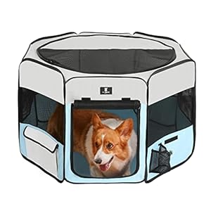 X-ZONE PET Tragbarer Hunde- und Katzenlaufstall Blau