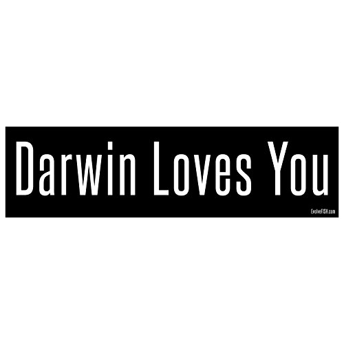 Adhesivo Darwin Loves You EvolveFISH de 28 cm para renovar el parachoques de tu coche 2