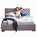 Produktbild Moebella ELSA Bett 160x200, Bettgestell mit Lattenrost und Bettkasten, unterschiedliche Größen (Bett 140x200, 180x200, 200x200), ohne Matratze, Polsterbett, Jugendbett, Bed, Doppelbett