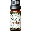 White Sage and Palo Santo Purification Essential Oil for Negative Energy and Protection A Smokeless Alternative for Those Who Can Not Burn Sage 10ml