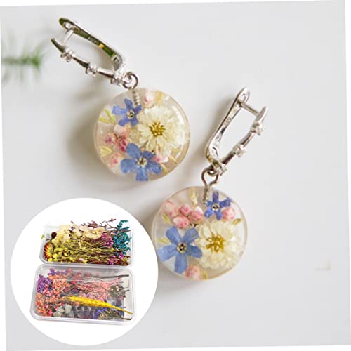 Flores Secas Prensadas Decorativas 2 piezas para DIY miniatura 7