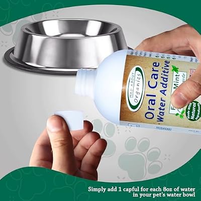 Oral Care Water Additive for Cats & Dogs Gentle Dental Support Reduces Breath Odors, Promotes Gum Health No Brushing Convenient for Daily Use, Fresh Mint Flavor, 16 FL oz
