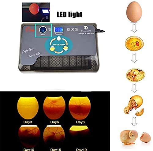 Digitale Automatische Incubators, Hatching Egg Incubator 12 Eits Incubator Machine met LED Display Poultry Hatcher voor… - Afbeelding 4