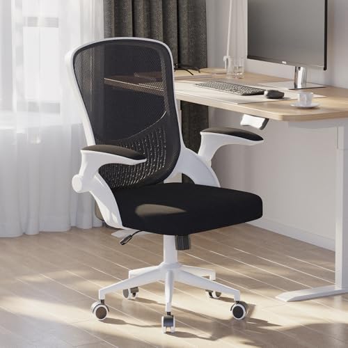 naspaluro Office Desk Chairs Ergonomic Chair with Flip-up Armrest...