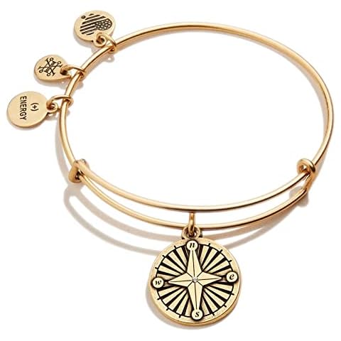 Alex and Ani Compass IV Bracelet, One Size, Brass Cover